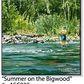 ASC025 "Summer on the Bigwood" ceramic coaster