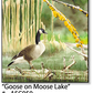 ASC050 "Goose on Moose Lake" ceramic coaster