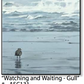 ASC131 "Watching and Waiting (gull)" ceramic coaster