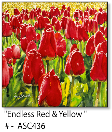 ASC436 "Endless Red and Yellow (tulips)" ceramic coaster