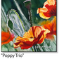 ASC442 "Poppy Trio" ceramic coaster