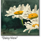 ASC260 "Daisy View" ceramic coaster