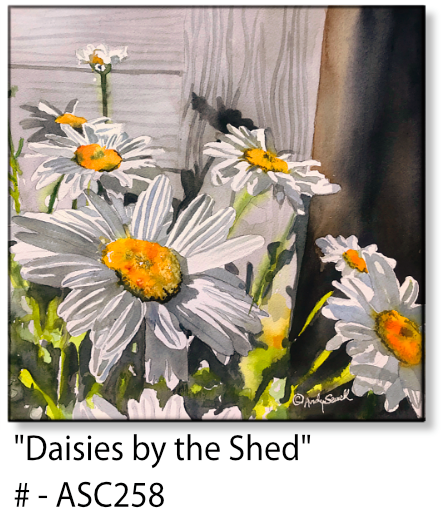 ASC258 "Daisies by the Shed" ceramic coaster