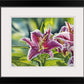 "Stargazer Glory" 12x16 signed edition canvas or paper Giclee Reprod. of a Stargazer Lily