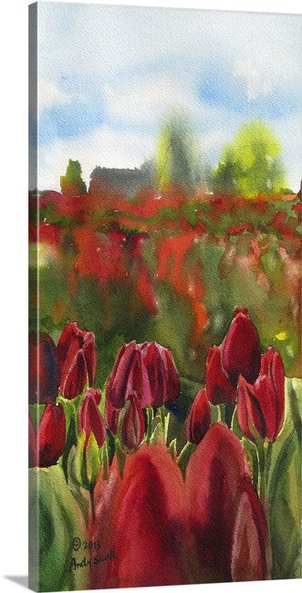"Tulips Forever2" - 7"x14" Original Watercolor or Giclée art print.