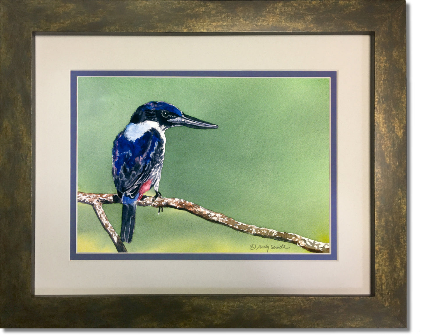 "U is for Ultramarine Kingfisher" Original 7x10 or framed 11x14 watercolor or giclee print