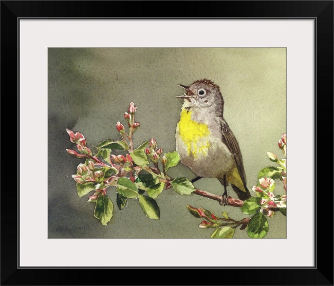 "Virginia Warbler"-  An 8x12 Giclee from watercolor