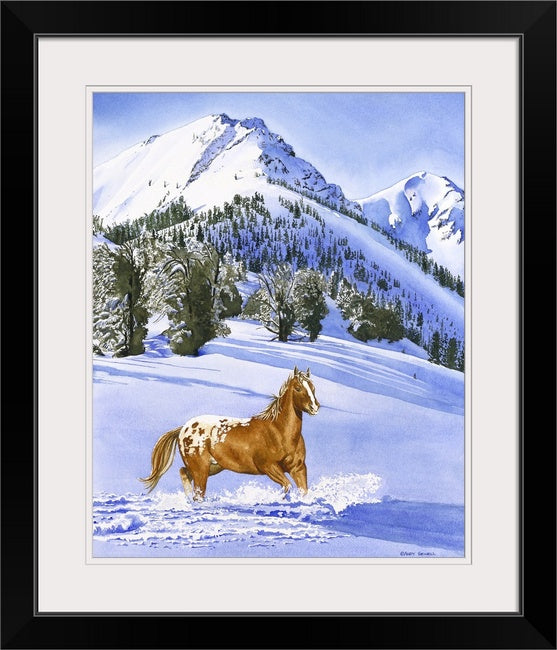 "Winter Blanket" - 20"x30" A signed Giclee art print from a watercolor of an Appaloosa running in the snow.