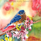 "Bluebird in the Blossoms" - 8"x12"  paper or canvas Giclée art print from a watercolor