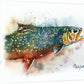 "Brookie Splashes" - original watercolor or print, Brook Trout wall art