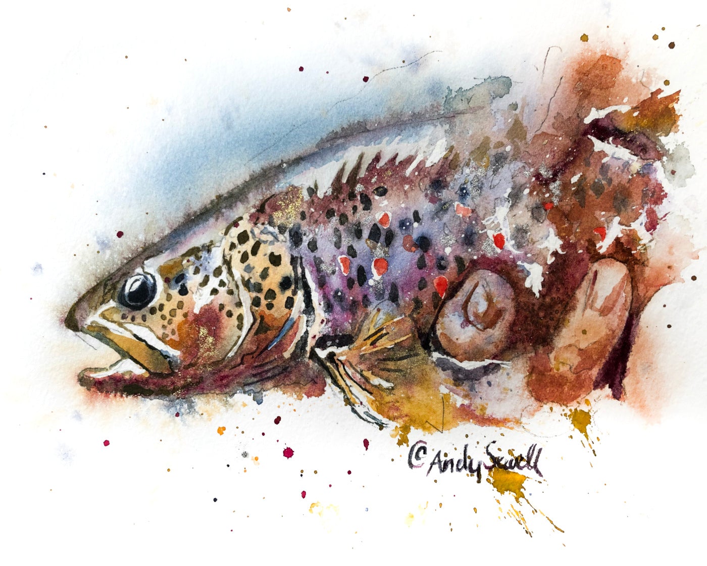 "Brown Splashes" - signed giclee art print, Brown Trout wall art