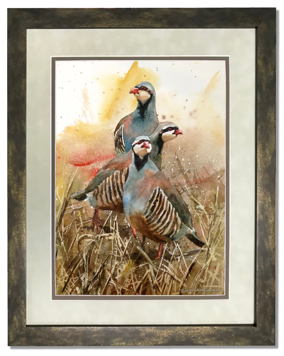 "Three Chukateers" - 12"x16" A limited edition s/n Giclee art print  from an Original watercolor of 3 chukars strutting in the sun