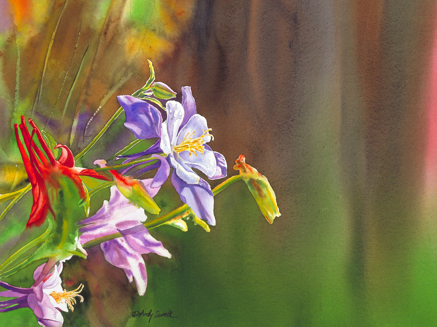 "Purple Colombine" 18x24 giclee print - a signed canvas or paper print from watercolor