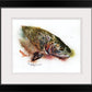 "Cutthroat Splashes" - signed giclee print, Cutthroat Trout wall art