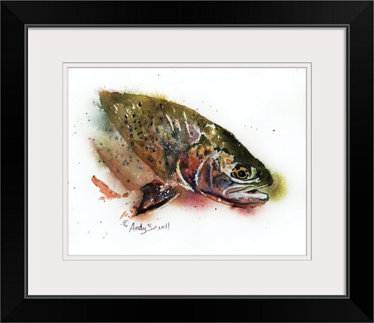 Catch & Release Trout Fly Fishing Art Art Print