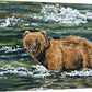 "Grizzly Fishing" - 11"x15" Original watercolor or Giclée print.