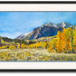 "Gold in the Boulders" - a 52"x24" signed edition giclee art print  from an original watercolor