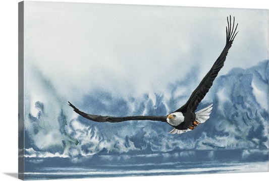 “Hunting for Kokanee” - 20"x30" Eagle on the hunt for Kokanee Salmon, signed Giclée prints