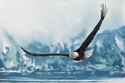 “Hunting for Kokanee” - 20"x30" Eagle on the hunt for Kokanee Salmon, signed Giclée prints
