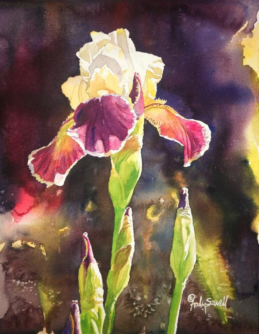 Iris Light Art Print - 12"x16" a signed edition giclee art print  from an original watercolor of Iris