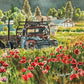 The Old Logger - an original watercolor or open edition giclee reproduction of an old logging truck,  - by Andy Sewell