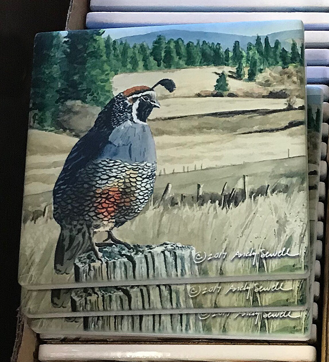 "KING of the VALLEY" A limited edition s/n Giclee reproduction of California quail art, watercolor print  - by Andy Sewell