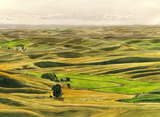 "Palouse Summer Glow" - An open edition Giclee reprod. from an Original watercolor of the Northwest Palouse country landscape - by Andy Sewell