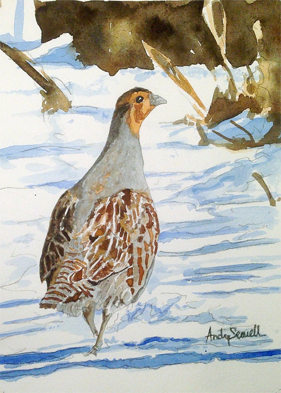 "Winter Hun" - Hungarian Partridge Archival Watercolor Print S/N Ltd. Ed.