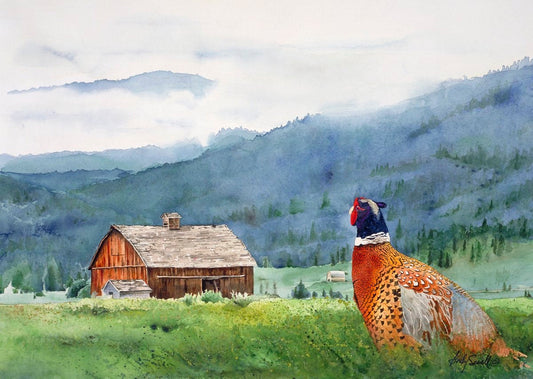 "Springtime Ringneck" - A ltd. edition s/n Giclee watercolor print of Ringneck Pheasant- by Andy Sewell