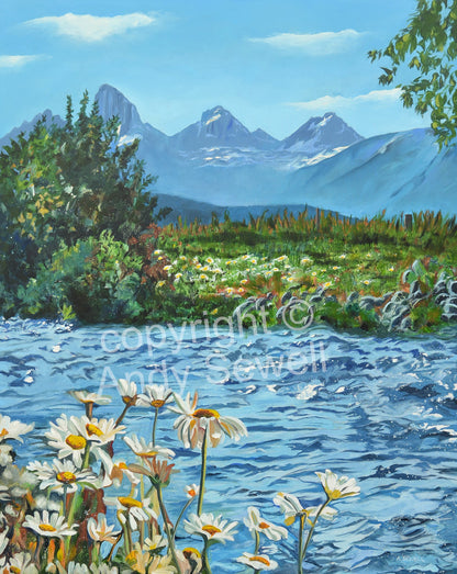"Daisies in the Tetons" - Canvas Giclée art print of oil painting of Idaho Daisies in the Tetons.