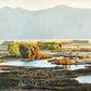 "Silvercreek Morning Shadows" - 28"x34" Original Oil Painting or Signed Edition Print