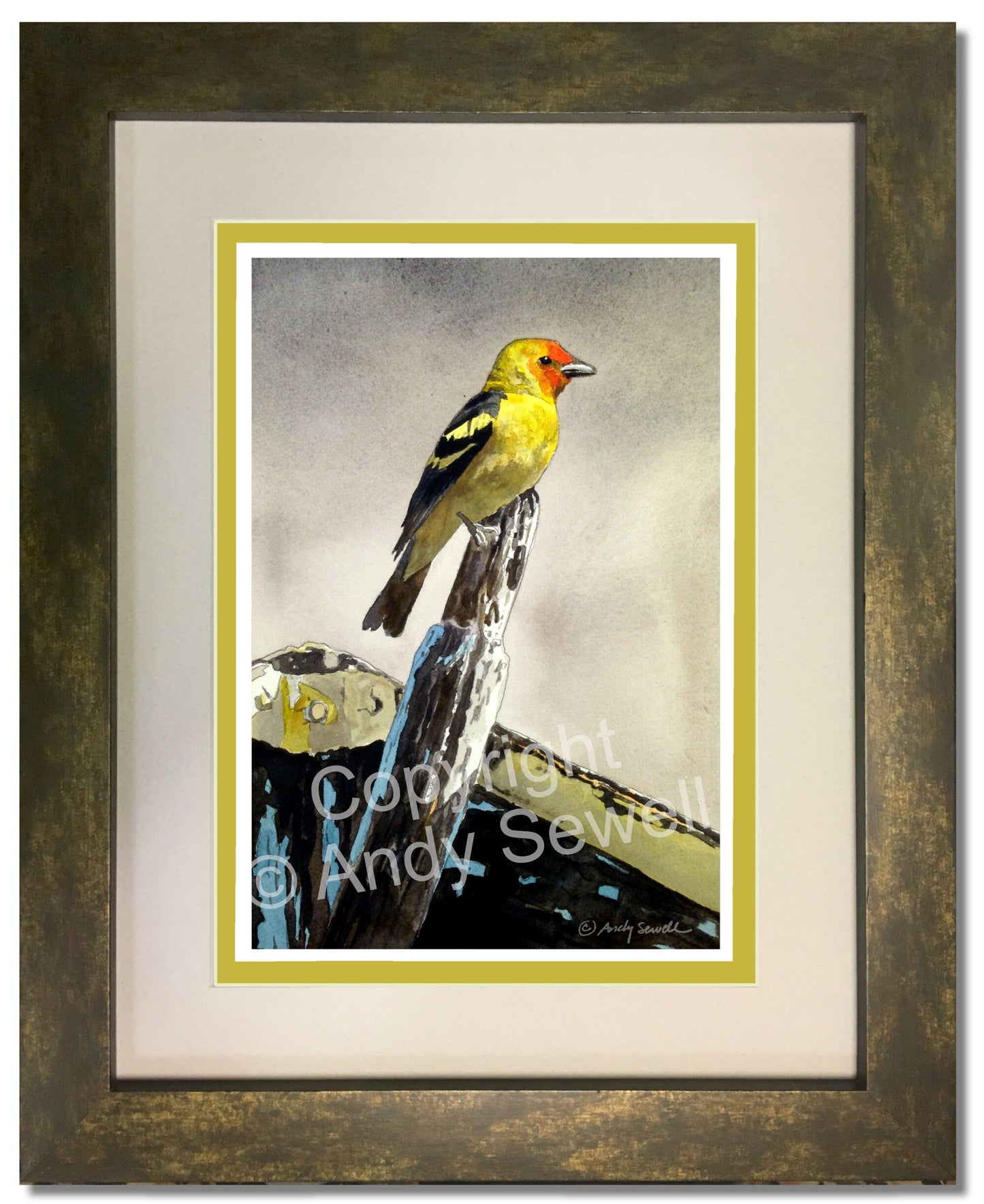 Tanager - 8" x 12" A giclee reprod. by Andy Sewell