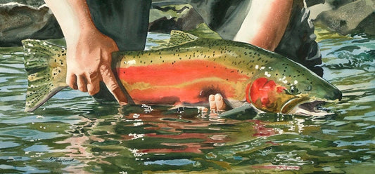 "Colors of the River" (Steelhead) - a ltd. edition s/n giclee art print from an original watercolor of the fabulous Steelhead (see video below)