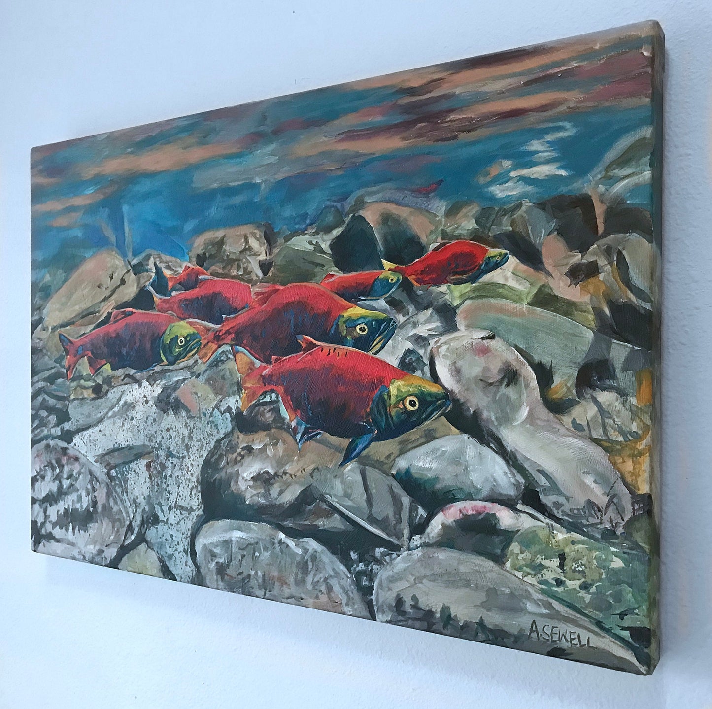 "Return of the Reds" - a canvas signed print of Sockeye Salmon or Kokanee on the return upstream.