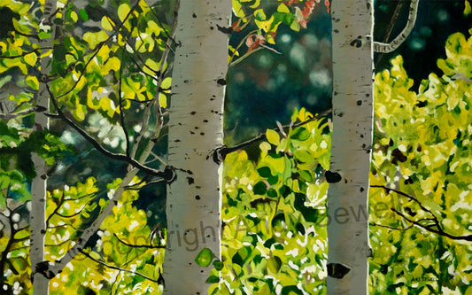 "Forest Symphony", - 48"x30" Original oil on canvas or Open ed. Giclée of Idaho's Aspen Trees in the Summer