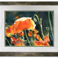 "Poppy Glow" Orange Poppy wall Art Print - a ltd. ed. s/n giclee art print from a watercolor of poppies in the sun - by Andy Sewell