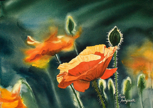 "Poppy Evening" Orange Poppy wall Art Print - A ltd. ed. s/n Giclee art print from a watercolor of poppies in the sun - by Andy Sewell