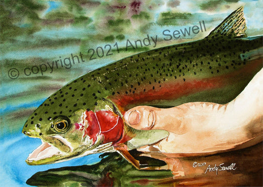 "Rainbow Release" Rainbow Trout Art Print - a ltd. ed. s/n Giclee rainbow trout art print from a watercolor - by Andy Sewell