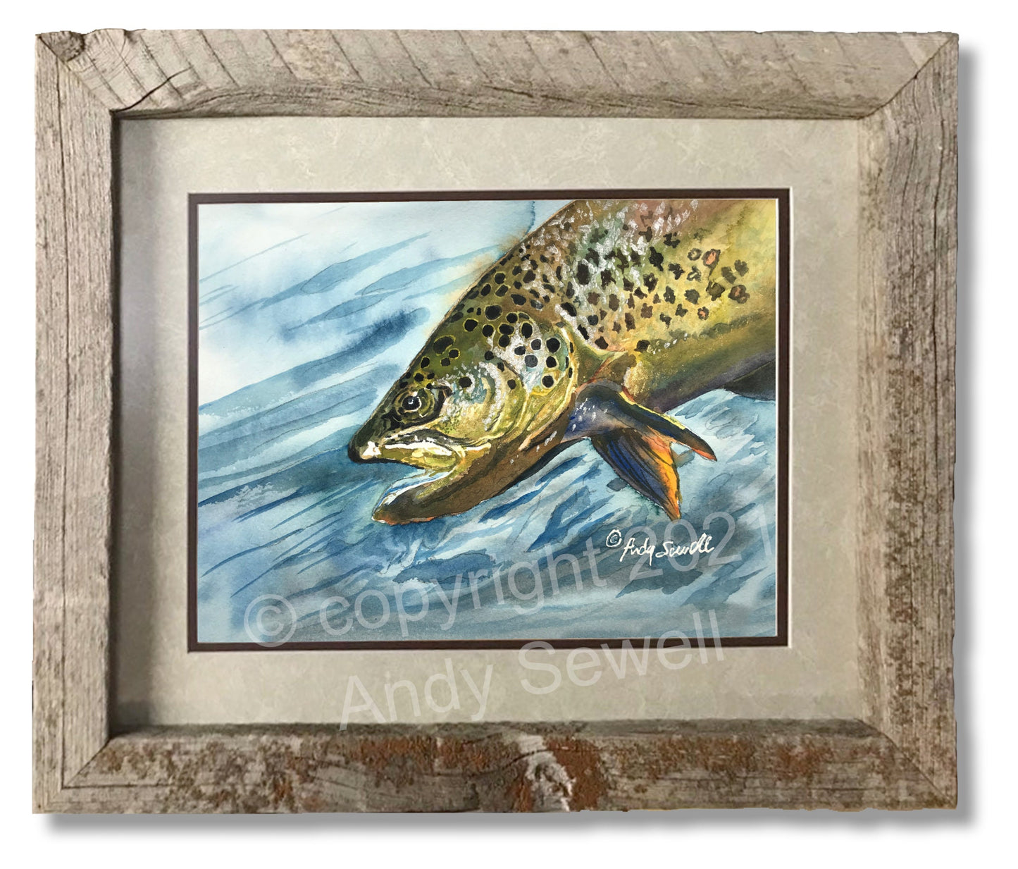 "Brown Trout Sparkle" - original watercolor or print, Brown Trout wall art