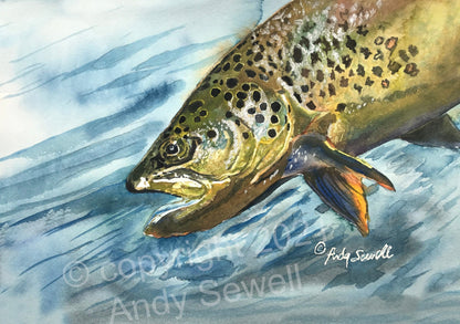 "Brown Trout Sparkle" - 8"x12" original watercolor