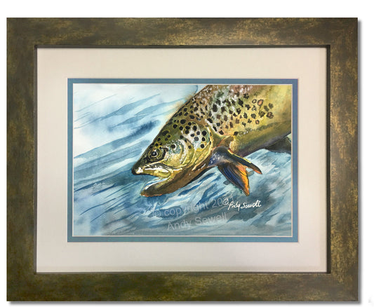 "Brown Trout Sparkle" - original watercolor or print, Brown Trout wall art