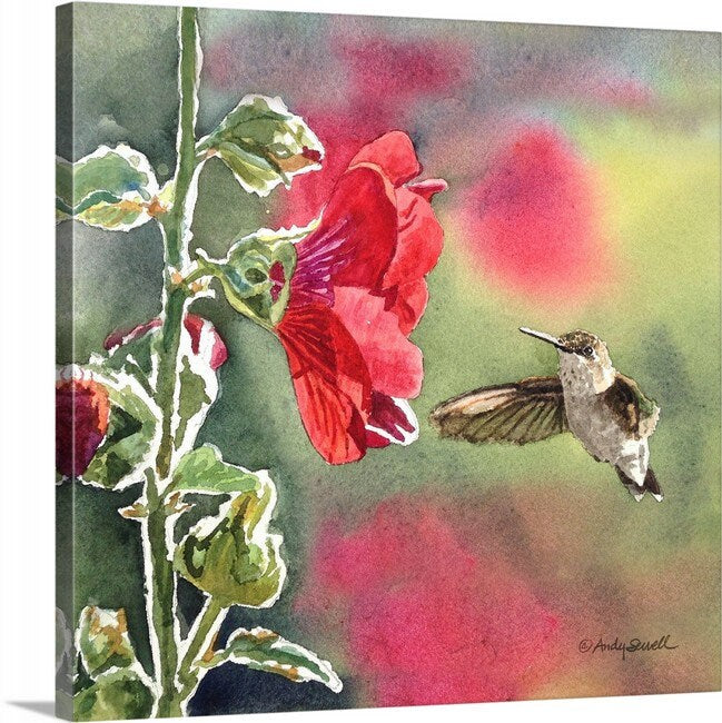 Hummingbird at Hollyhock - 7" x 11" Archival Watercolor Print S/N Ltd. Ed. by Andy Sewell