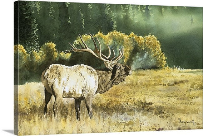 "Misty Morning Bull" 40"x28" Elk canvas or fine art paper art print, ltd. ed. s/n print