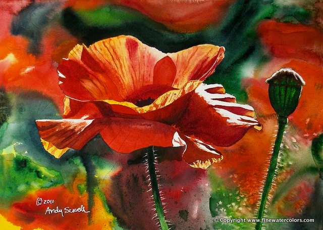 Poppies by hot Phoenix Simpson framed Giclee print