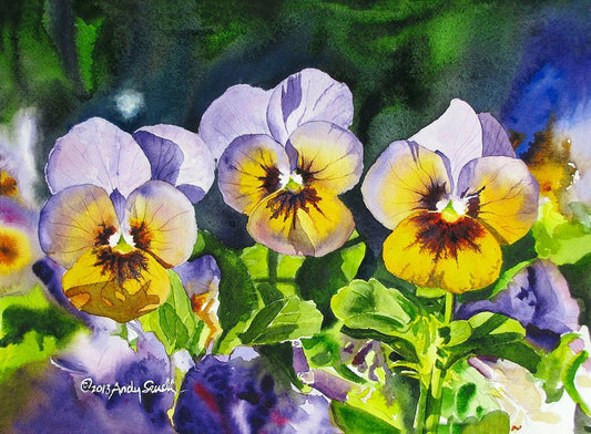 "Pansy Trio" -  12x16 Watercolor Original or Archival Watercolor Print S/N Ltd. Ed. by Andy Sewell