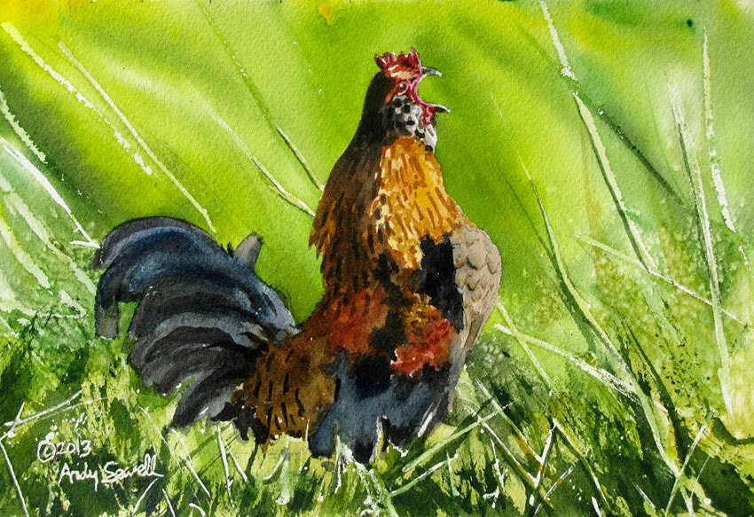 Rooster art print - 7" x 10" Archival Watercolor Print S/N Ltd. Ed. of country chicken by Andy Sewell