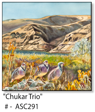 ASC291 "Chukar Trio" ceramic coaster