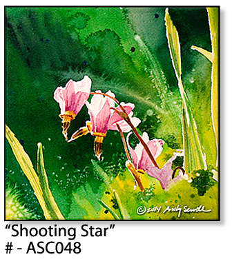 ASC048 "Shooting Star" ceramic coaster