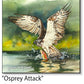 ASC377 "Osprey attack" ceramic coaster
