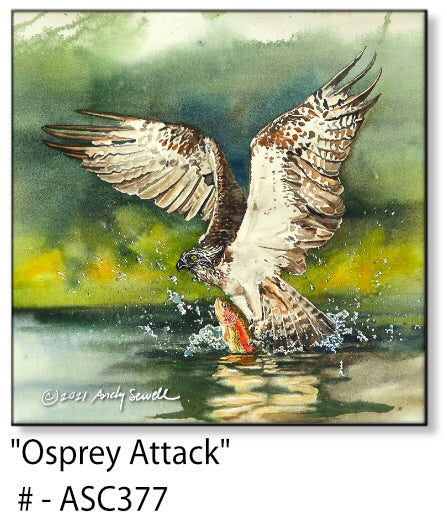 ASC377 "Osprey attack" ceramic coaster